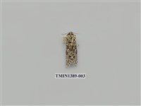 藏品(夜蛾科)的圖片